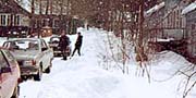 BioStation_small.jpg (13613 bytes)